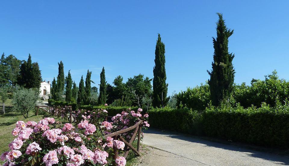 La Forra Farm stay *