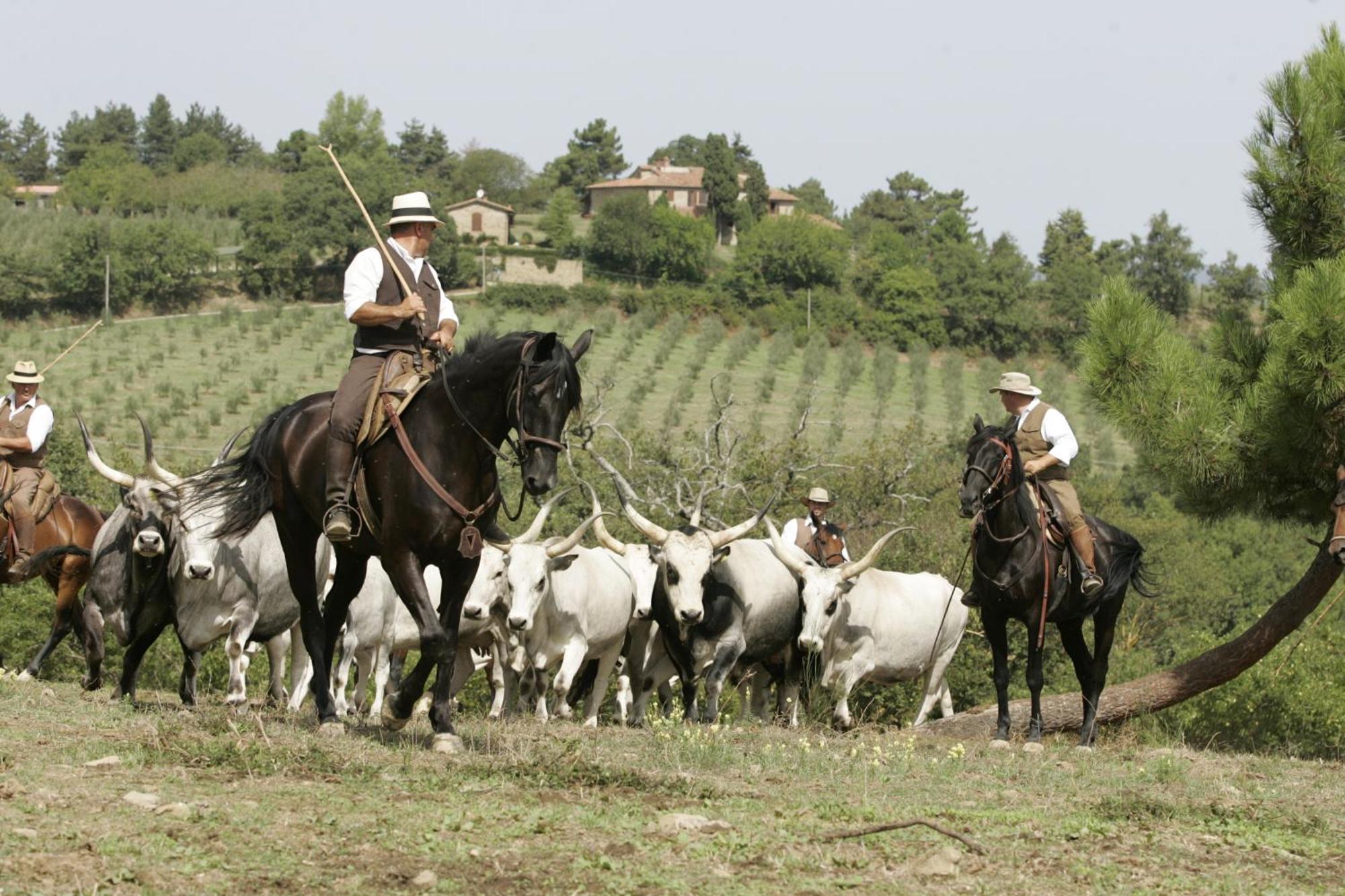 Vakantieboerderij La Forra